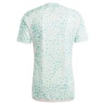 23/24 Mexico Special Edition Jersey - Image 2