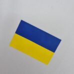 AC Milan 2002-2003 Champions League away shirt - Image 3