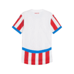 24/25 Paraguay Home Jersey - Image 2