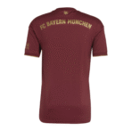 22/23 Bayern Munich Oktoberfest Jersey - Image 2